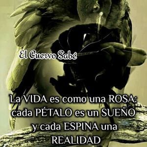 Meet your Posher, Rossy